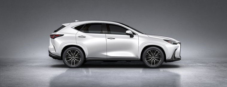 NX 250 Premium
