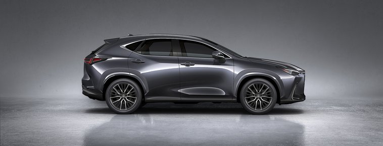 NX 350h Luxury
