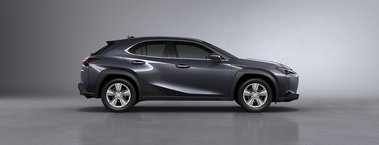UX250h F SPORT